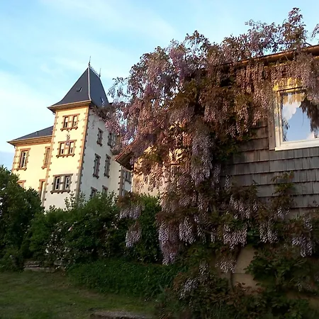 Villa Chateau Robert Raon-lʼÉtape