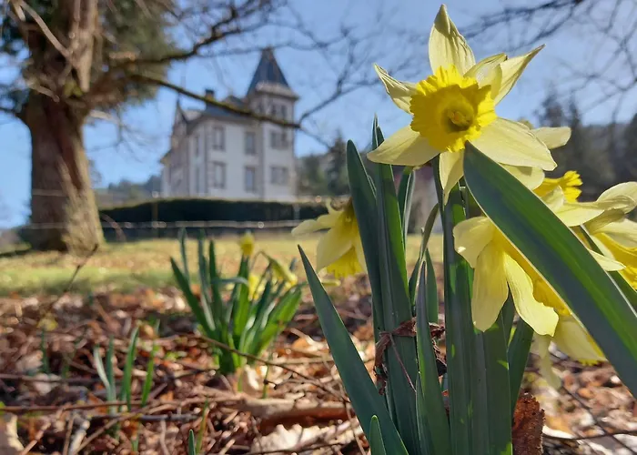 Chateau Robert * Raon-lʼÉtape