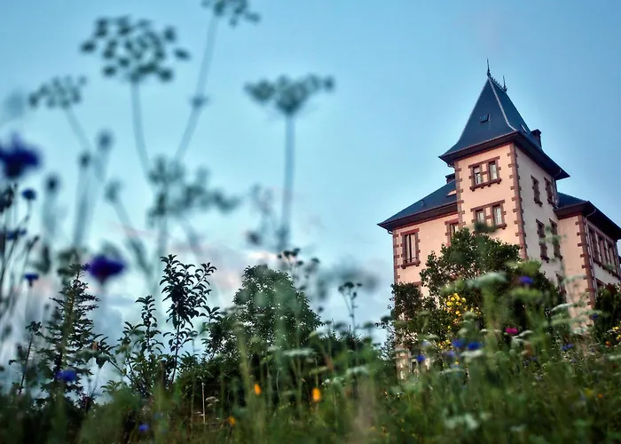 Villa Château Robert