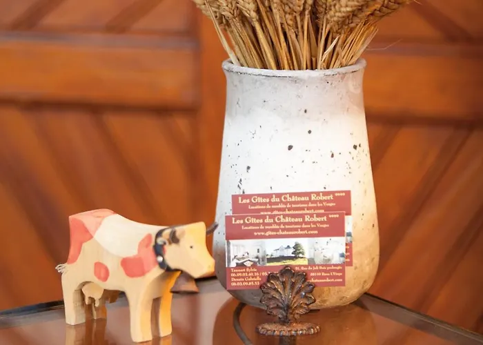 Chateau Robert Raon-lʼÉtape