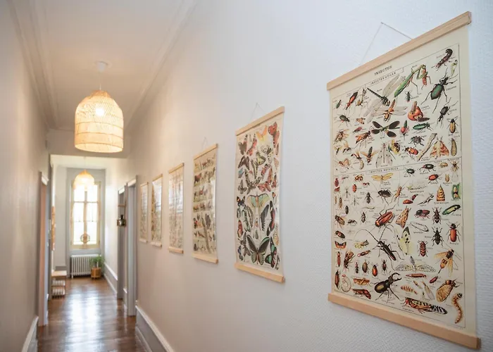 Villa Chateau Robert